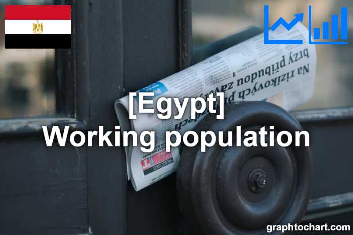 Egypt's Working population(Comparison Chart)