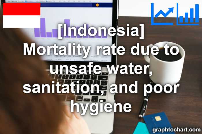 Indonesia's Mortality rate due to unsafe water, sanitation, and poor hygiene(Comparison Chart)