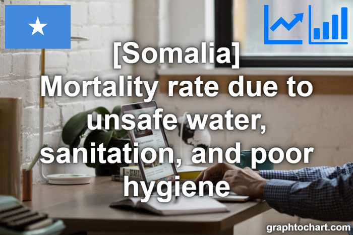 Somalia's Mortality rate due to unsafe water, sanitation, and poor hygiene(Comparison Chart)