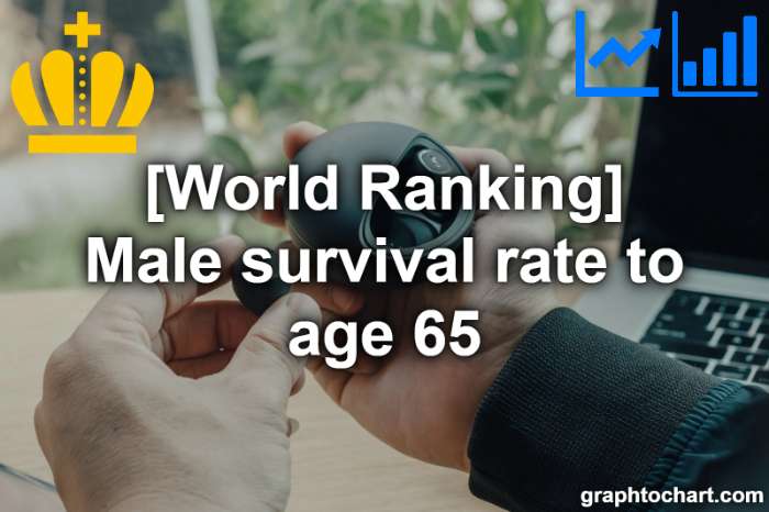 Top 192 Countries by Male survival rate to age 65